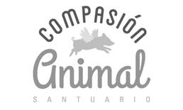 Santuario Compasión Animal