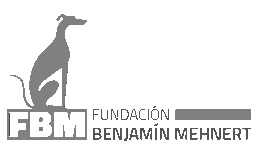 Fundación Benjamín Mehnert